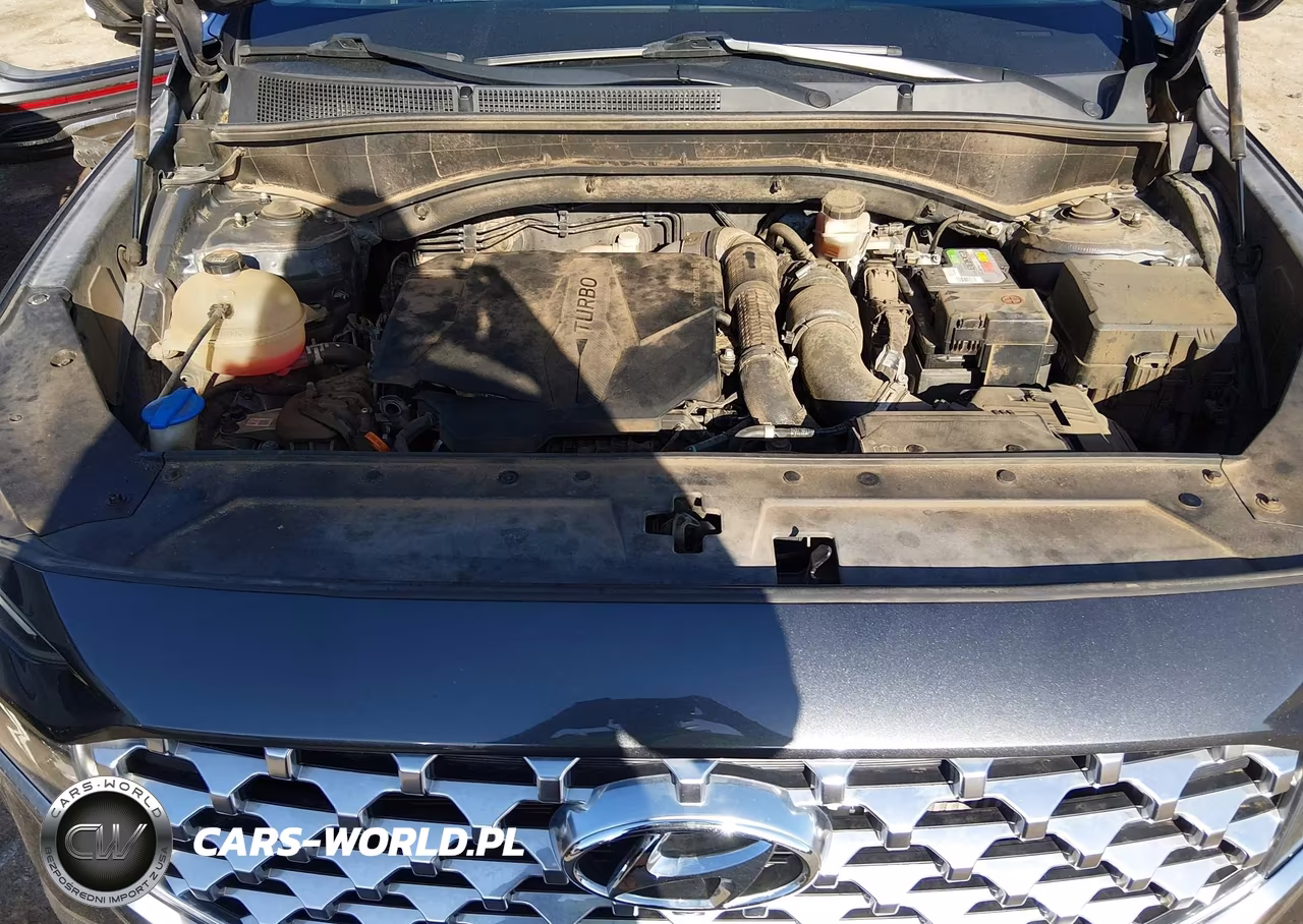 2021 Hyundai Santa Fe Limited VIN:5NMS44AL8MH335610 - 10
