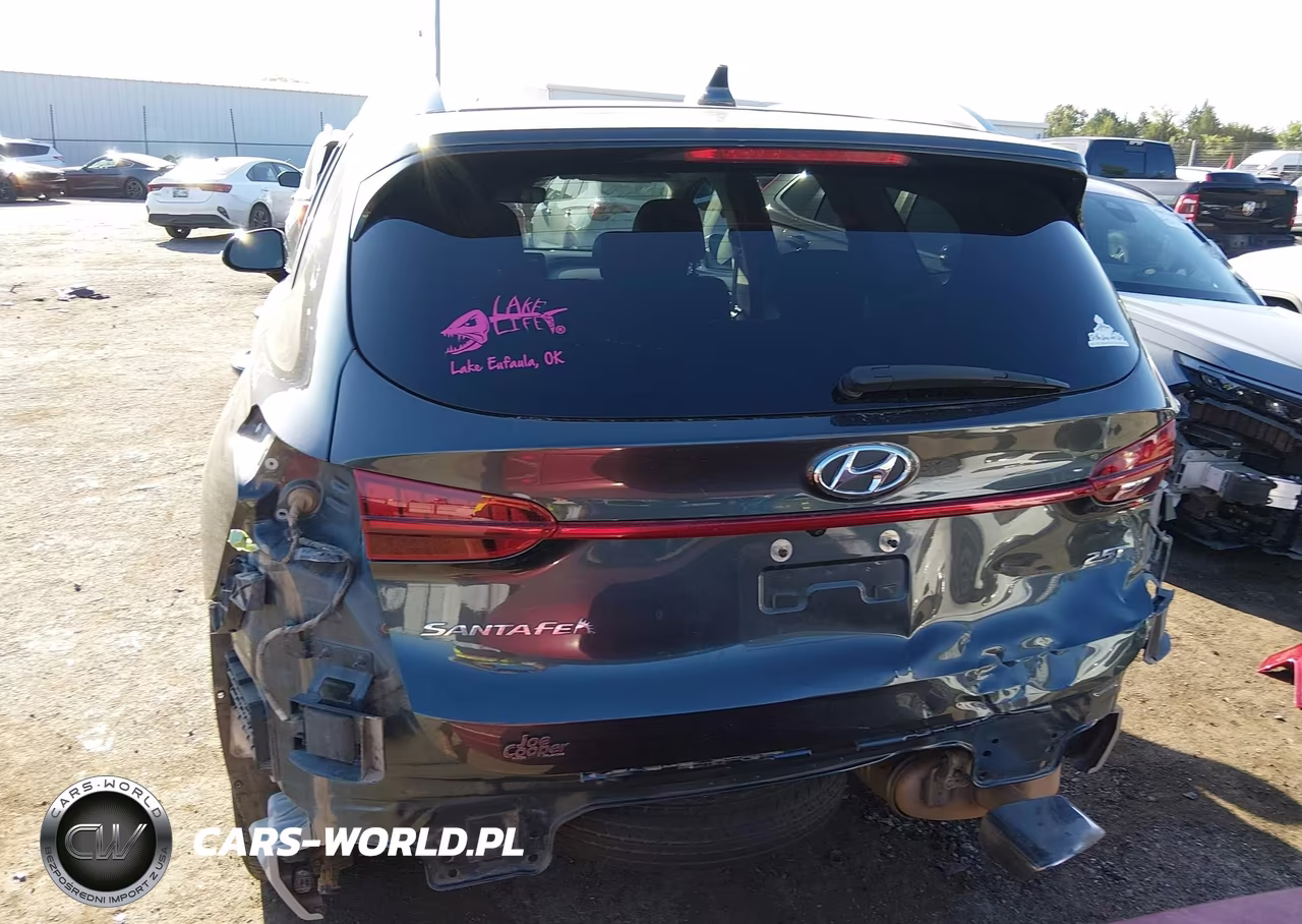 2021 Hyundai Santa Fe Limited VIN:5NMS44AL8MH335610 - 17