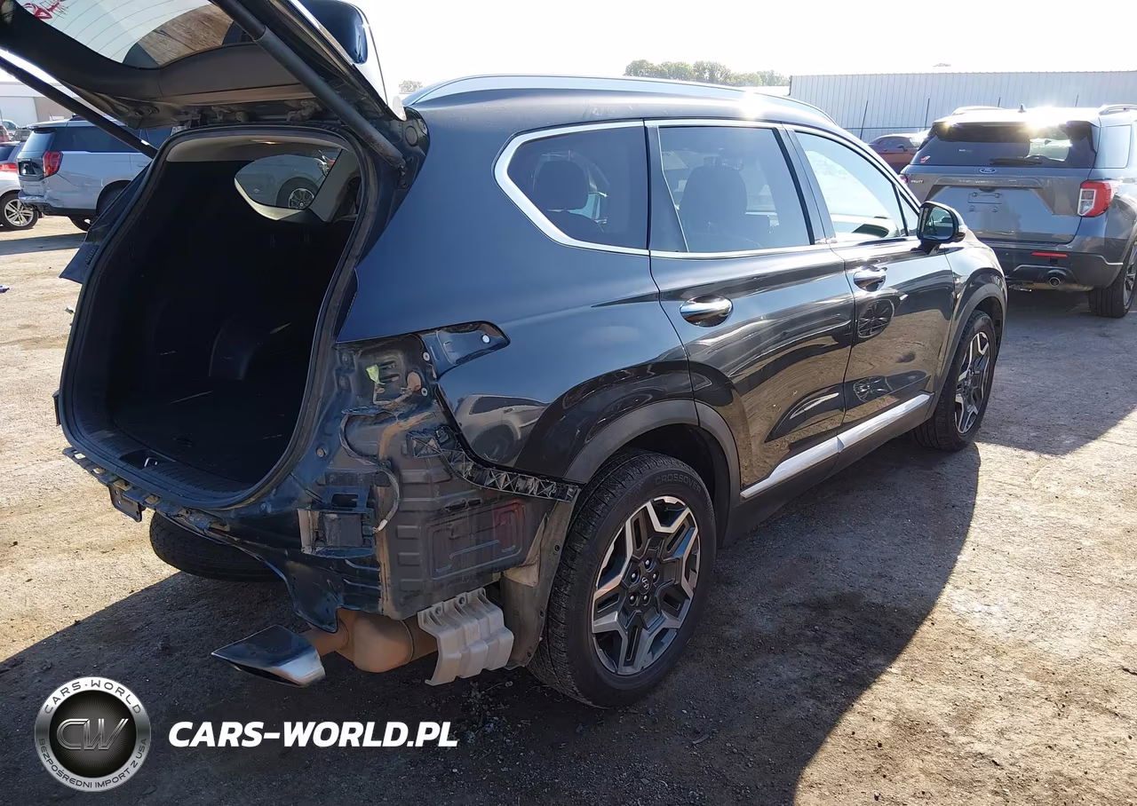 2021 Hyundai Santa Fe Limited VIN:5NMS44AL8MH335610 - 4