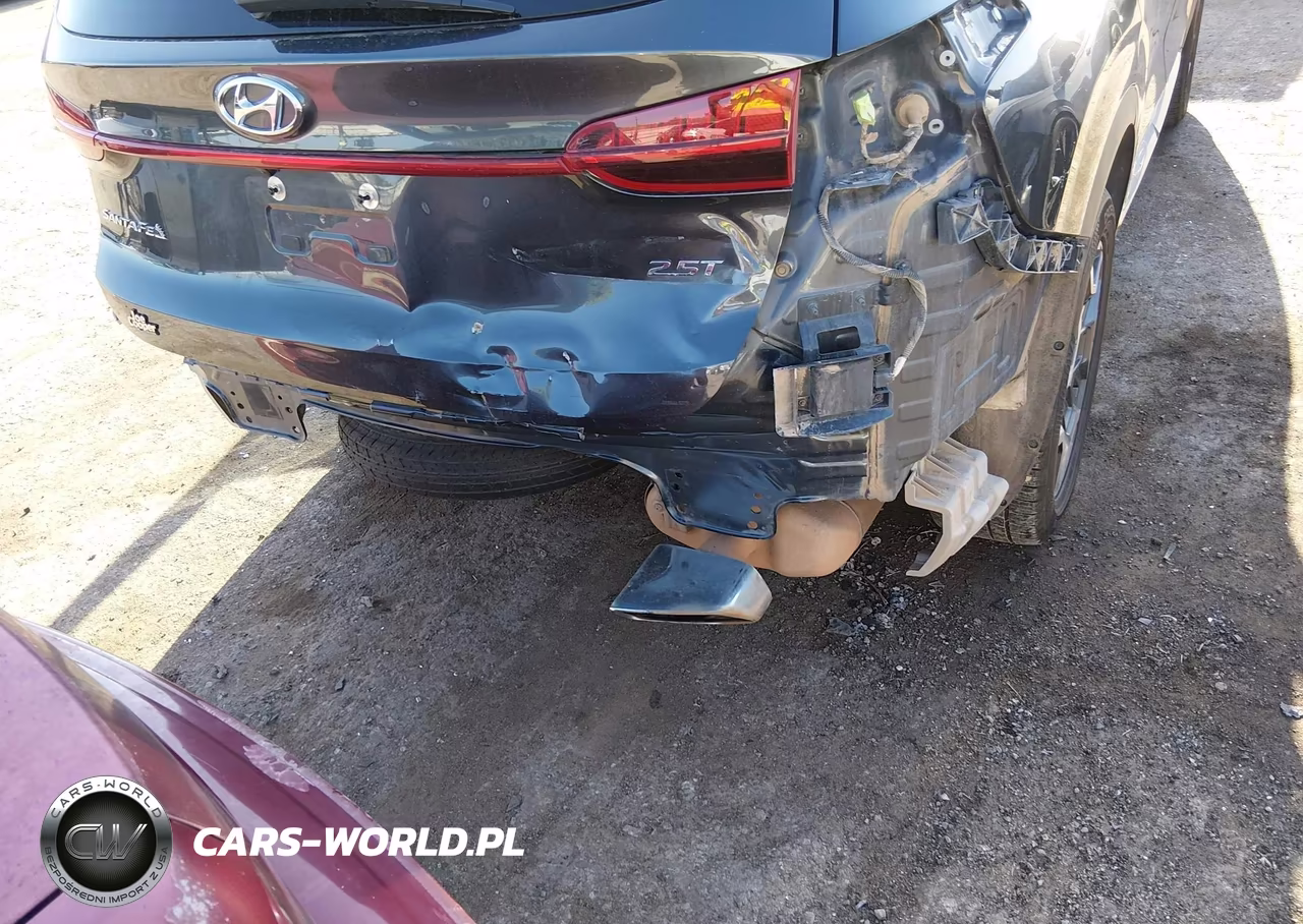 2021 Hyundai Santa Fe Limited VIN:5NMS44AL8MH335610 - 6