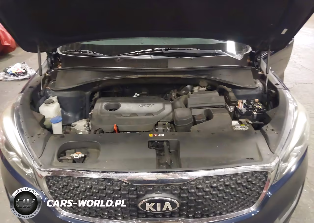 2016 Kia Sorento 2.4L Lx VIN:5XYPG4A36GG063747 - 10