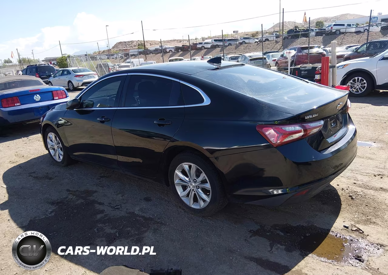 2019 Chevrolet Malibu Lt VIN:1G1ZD5ST4KF134440 - 3