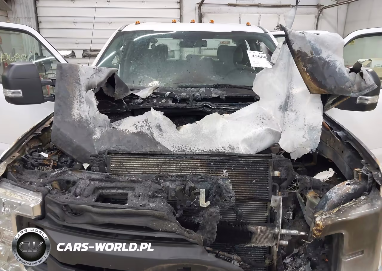 2017 Ford F-250 Xl VIN:1FT7W2B67HED06122 - 10