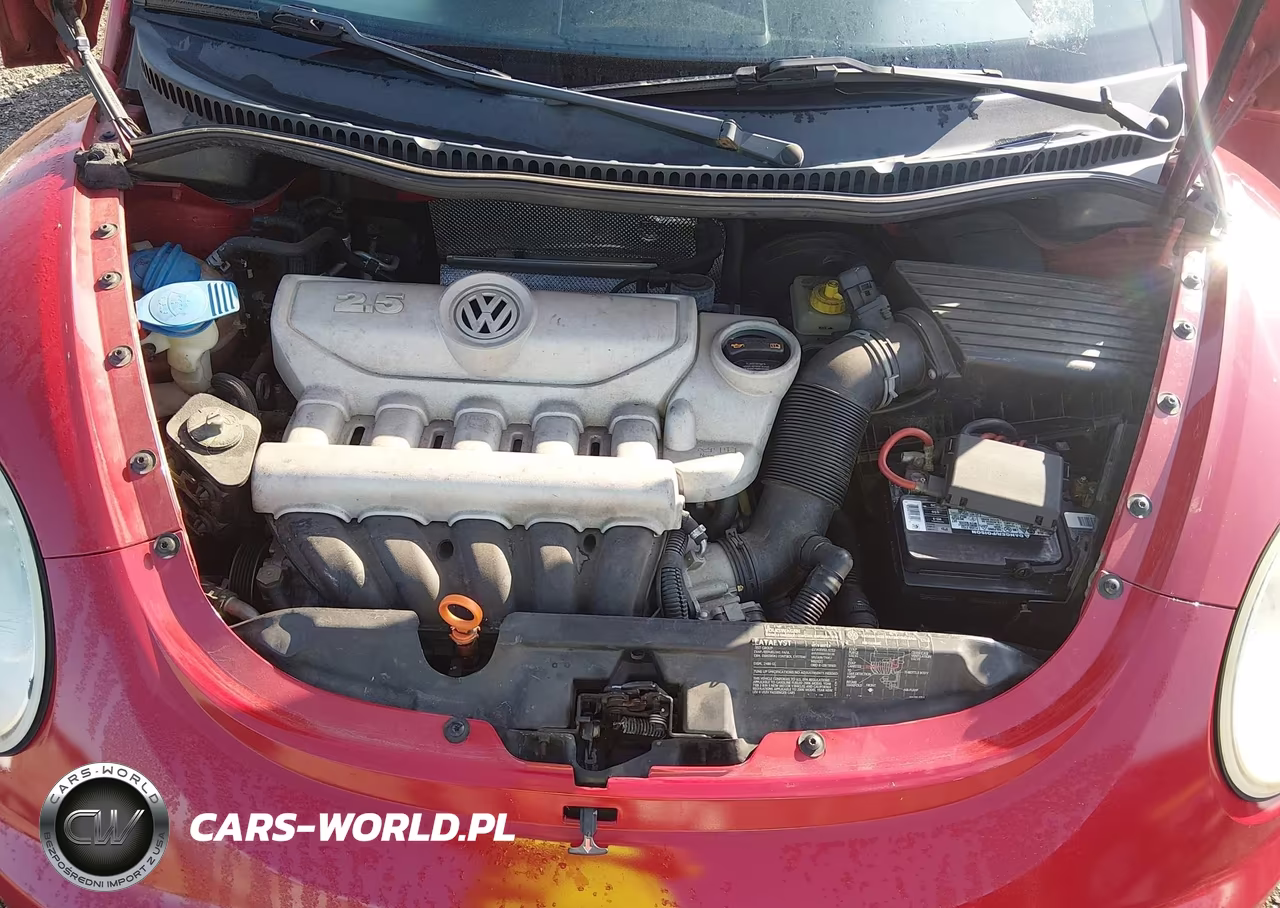 2006 Volkswagen New Beetle 2.5 VIN:3VWRF31YX6M332882 - 10