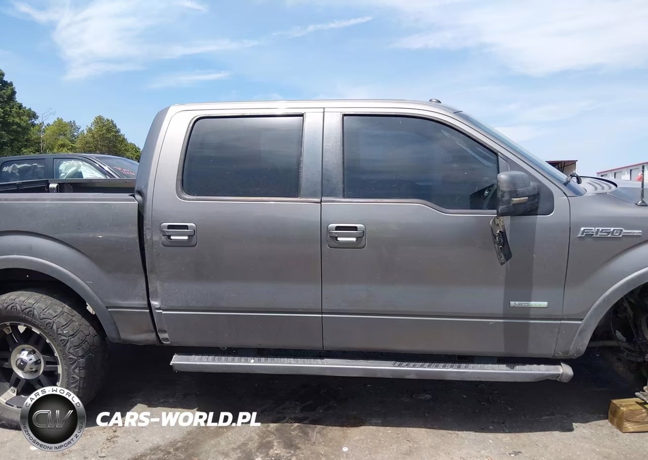 2011 Ford F-150 Fx4 VIN:1FTFW1ET7BFC02738 - 12