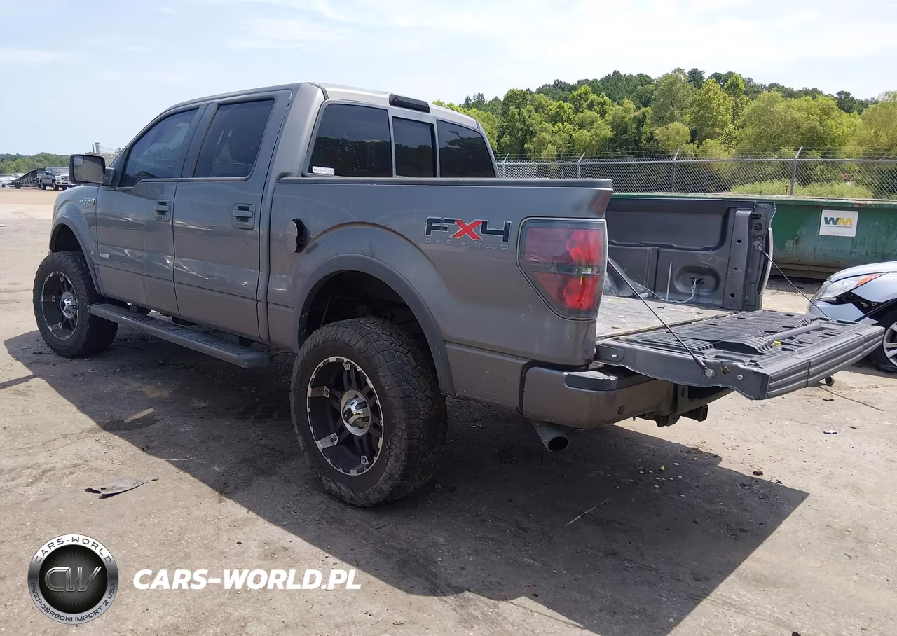 2011 Ford F-150 Fx4 VIN:1FTFW1ET7BFC02738 - 3