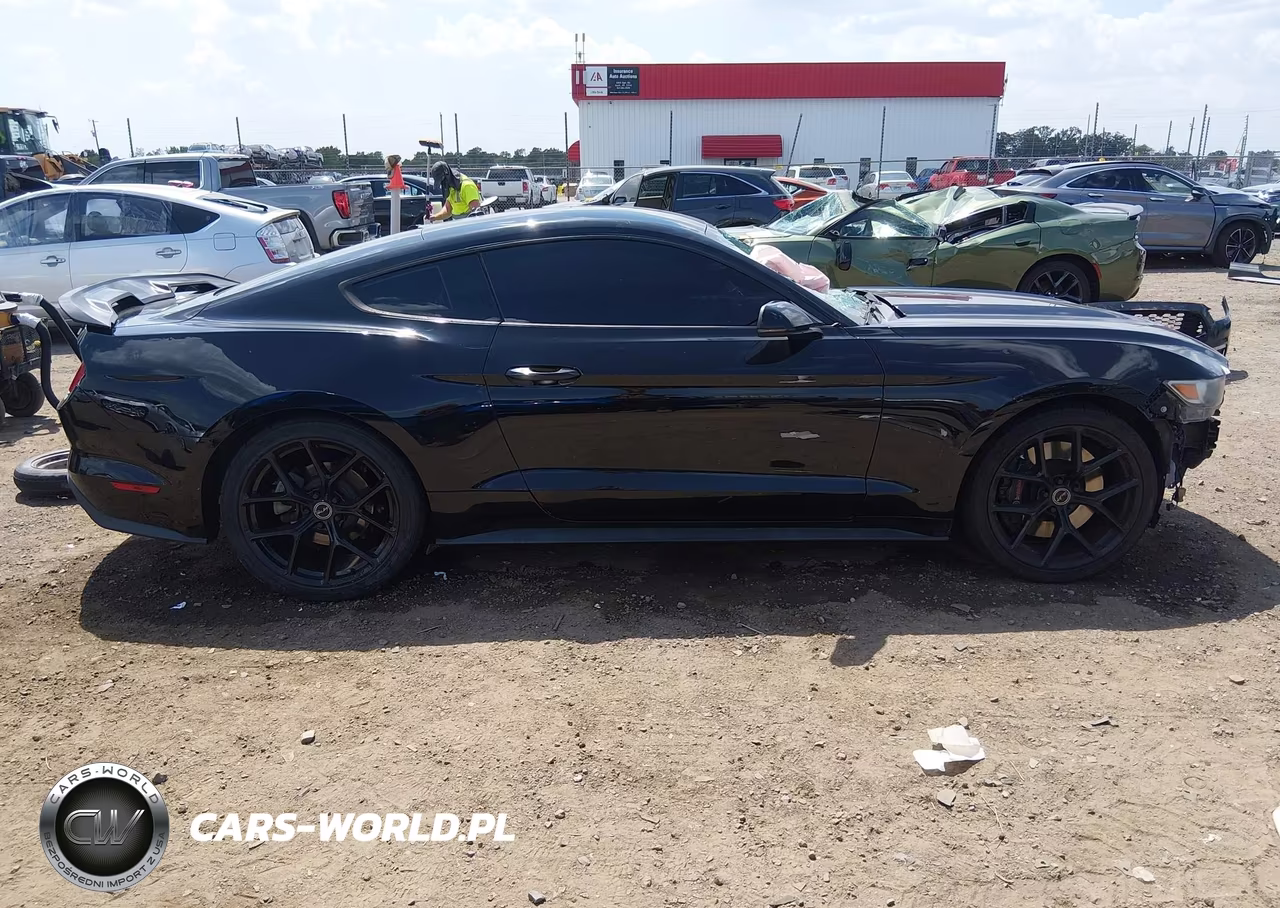 2015 Ford Mustang Ecoboost VIN:1FA6P8TH3F5401131 - 14
