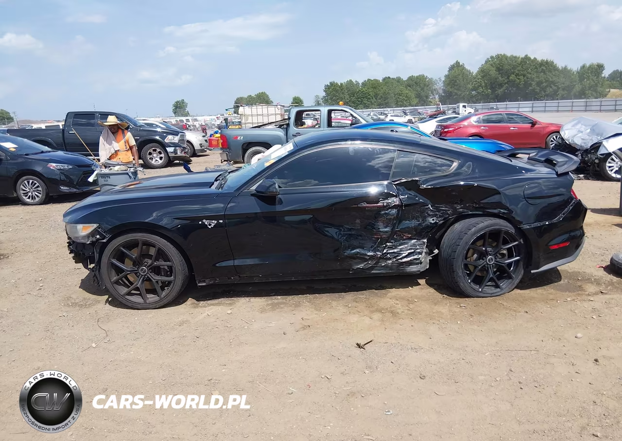 2015 Ford Mustang Ecoboost VIN:1FA6P8TH3F5401131 - 15