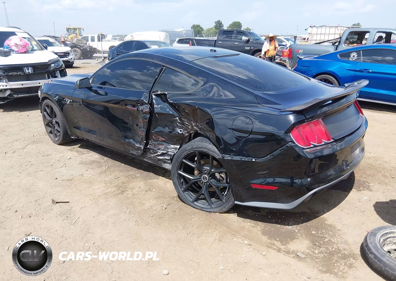 2015 Ford Mustang Ecoboost VIN:1FA6P8TH3F5401131 - 3