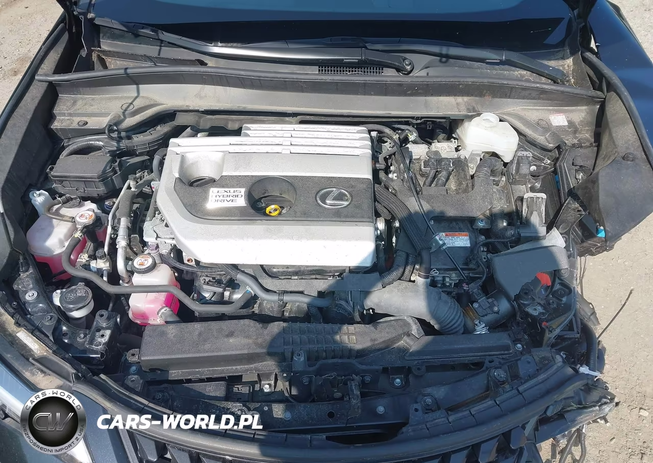 2021 Lexus Ux 250H VIN:JTHP9JBH9M2050451 - 10
