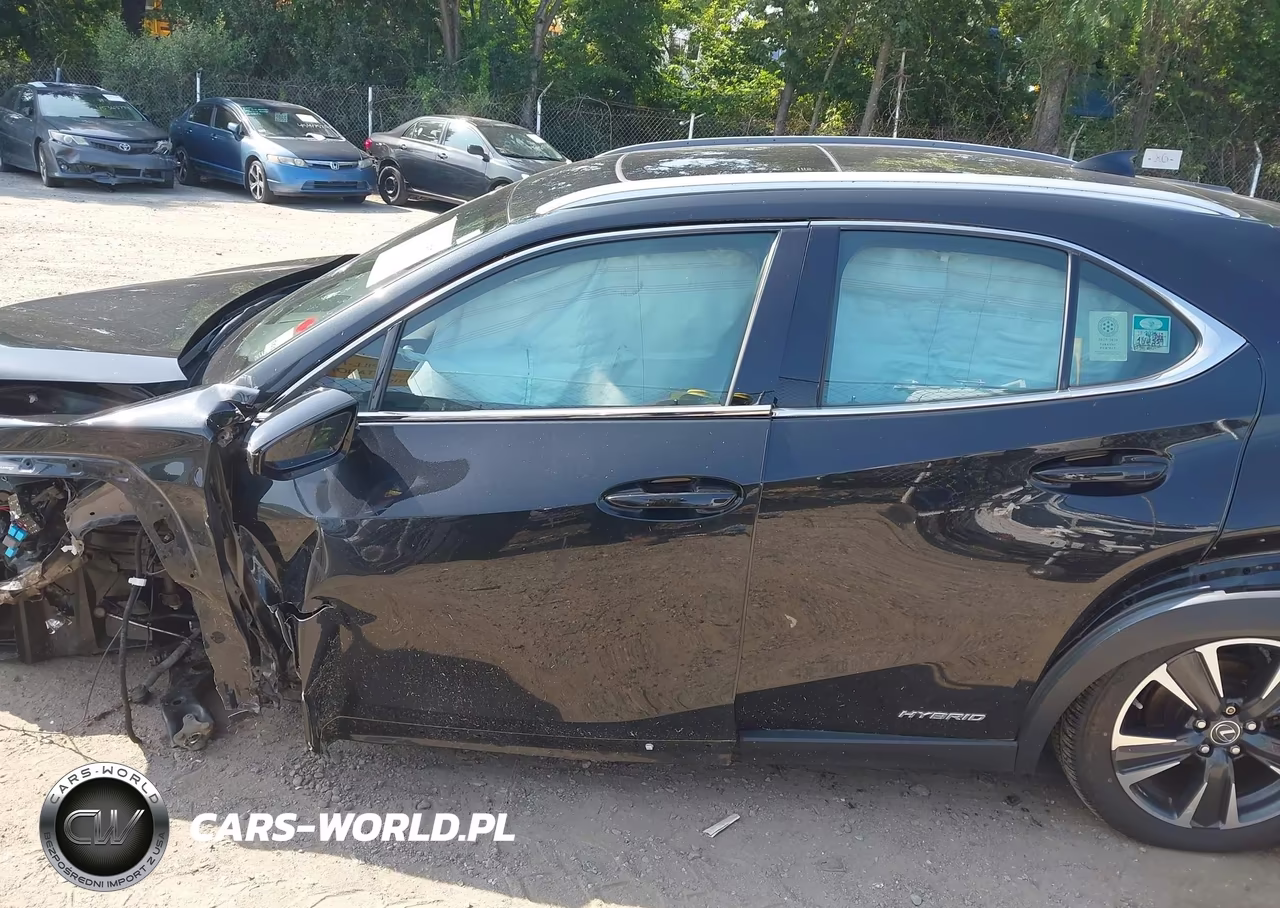 2021 Lexus Ux 250H VIN:JTHP9JBH9M2050451 - 13