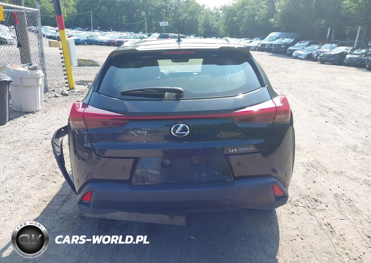 2021 Lexus Ux 250H VIN:JTHP9JBH9M2050451 - 15