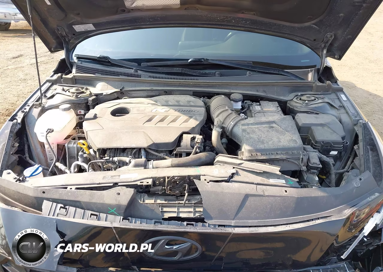 2023 Hyundai Elantra N VIN:KMHLW4AK4PU016395 - 10