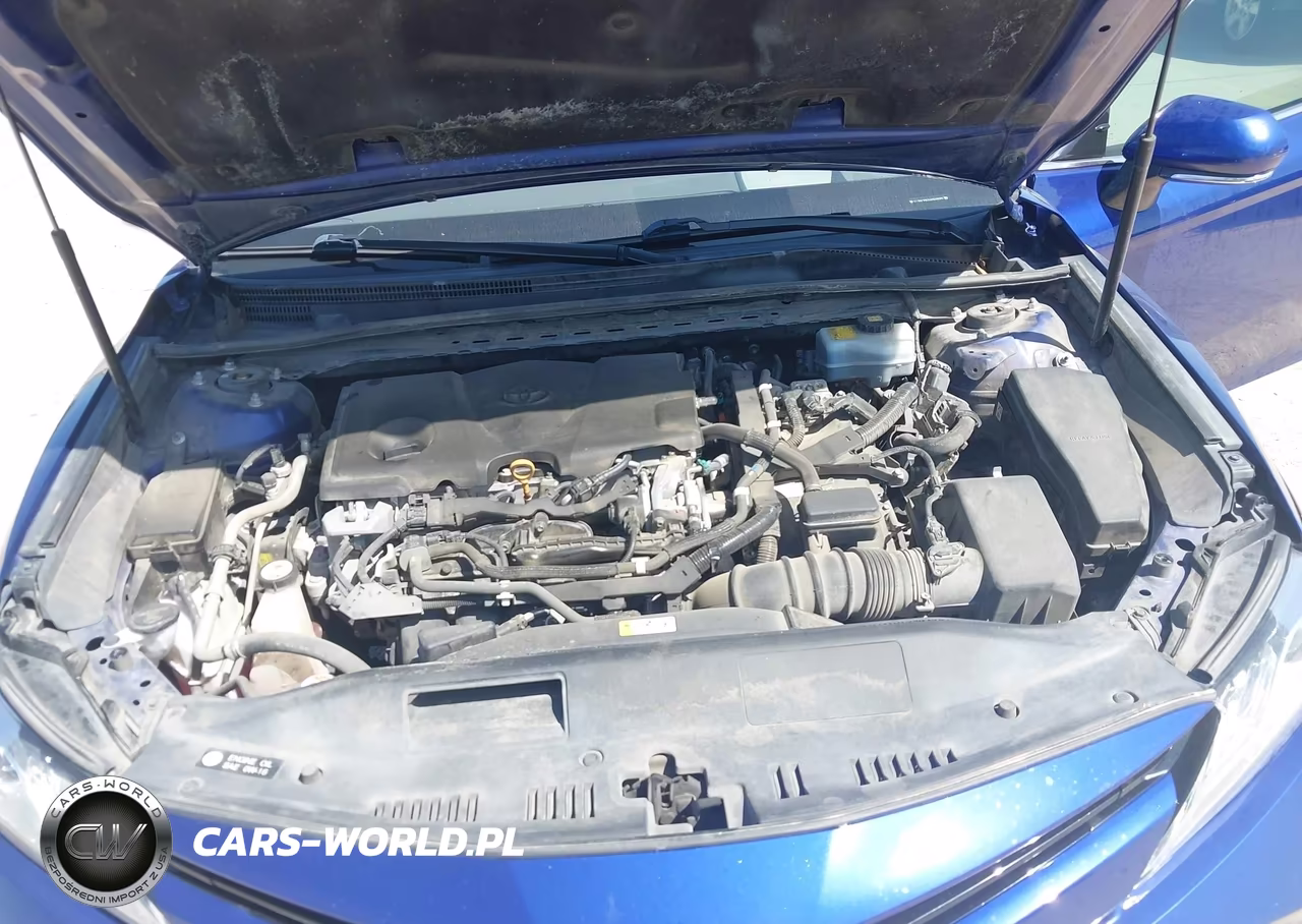 2018 Toyota Camry Hybrid Xle VIN:4T1B21HK3JU509925 - 10