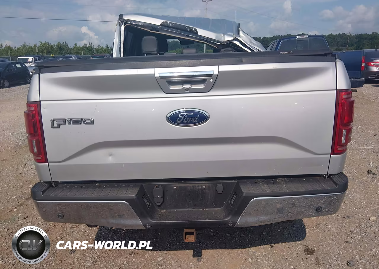 2015 Ford F-150 Lariat VIN:1FTEW1EG3FKE95713 - 16