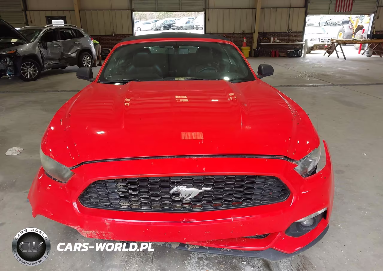 2016 Ford Mustang Ecoboost Premium VIN:1FATP8UH5G5304578 - 13