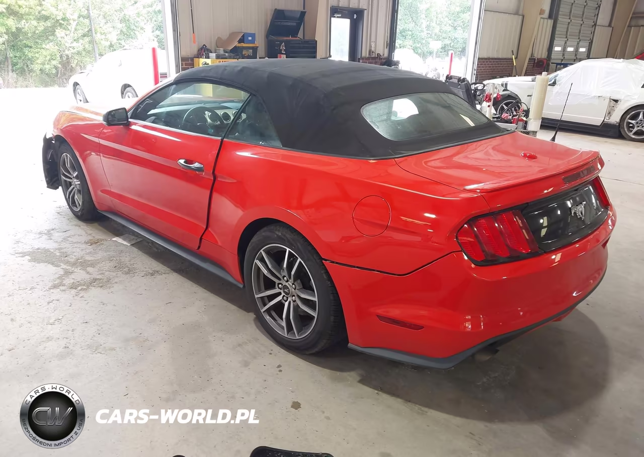 2016 Ford Mustang Ecoboost Premium VIN:1FATP8UH5G5304578 - 3