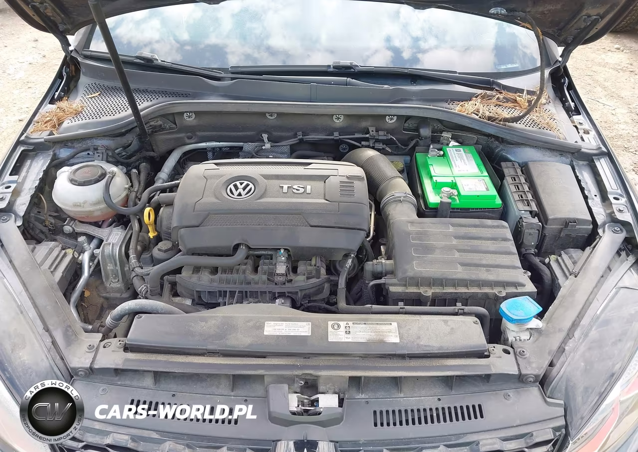 2019 Volkswagen Golf Gti 2.0T Autobahn-2.0T Rabbit Edition-2.0T S-2.0T Se VIN:3VW5T7AUXKM003525 - 10