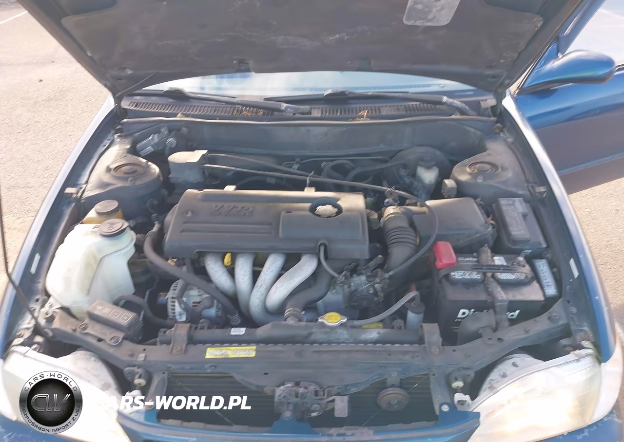 2000 Toyota Corolla Le VIN:1NXBR12E0YZ379191 - 10