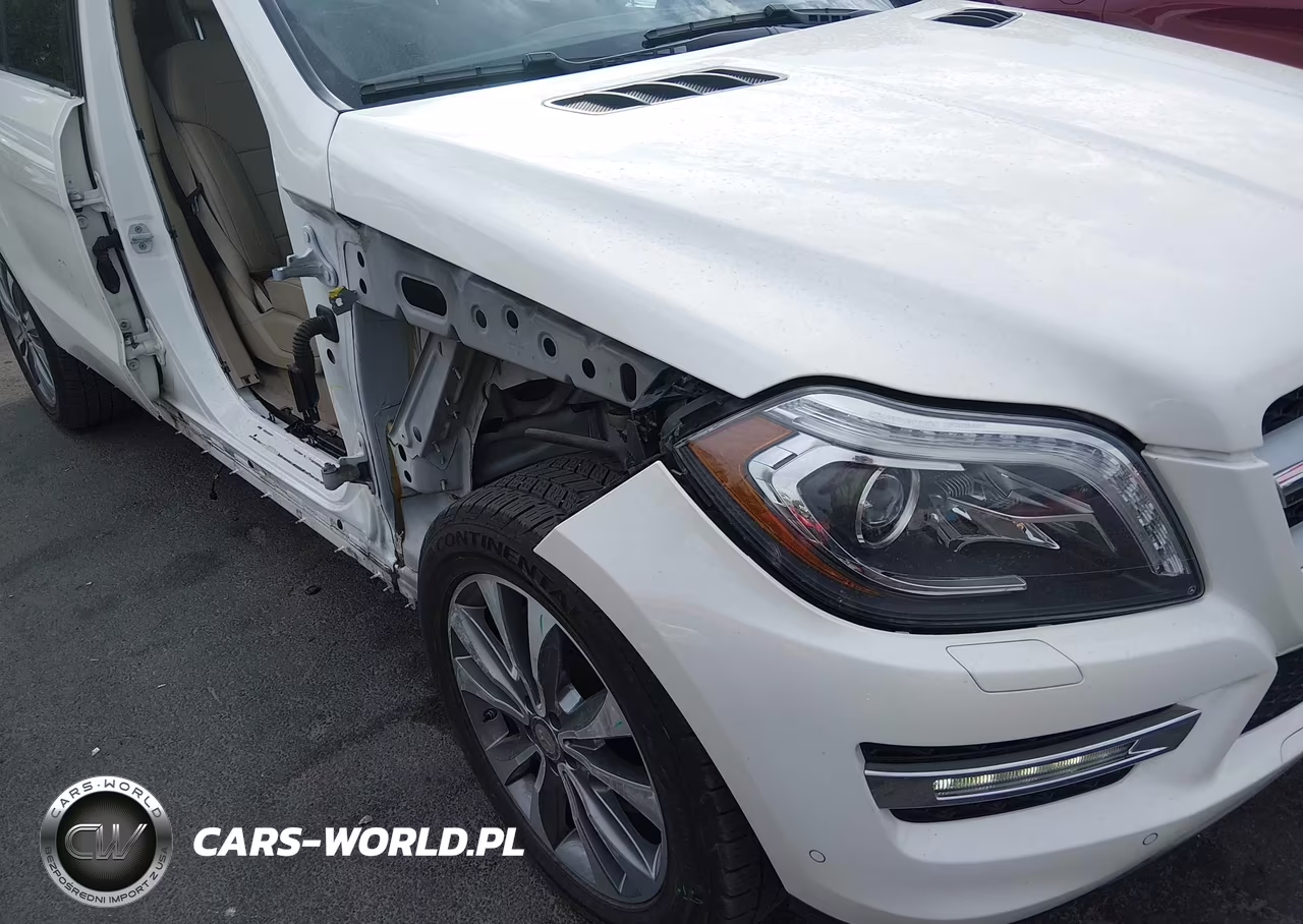 2014 Mercedes-Benz Gl 450 4Matic VIN:4JGDF7CE6EA407530 - 18
