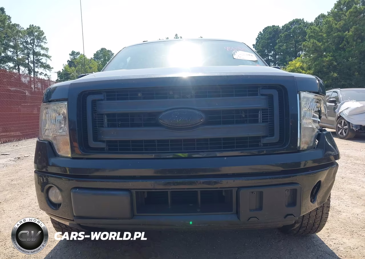 2014 Ford F-150 Fx2 VIN:1FTFW1CT7EKF69234 - 13