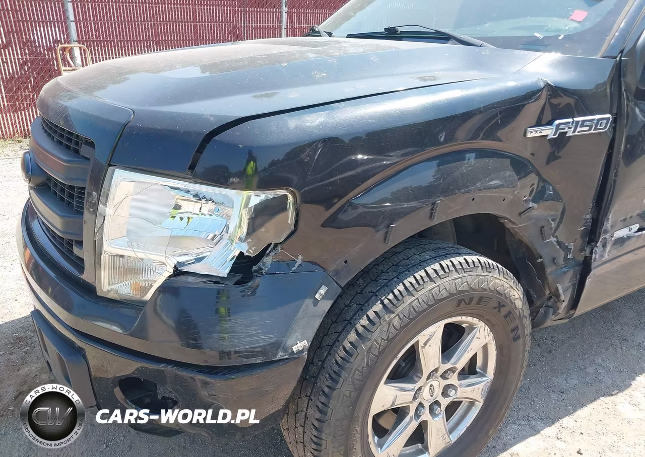 2014 Ford F-150 Fx2 VIN:1FTFW1CT7EKF69234 - 18
