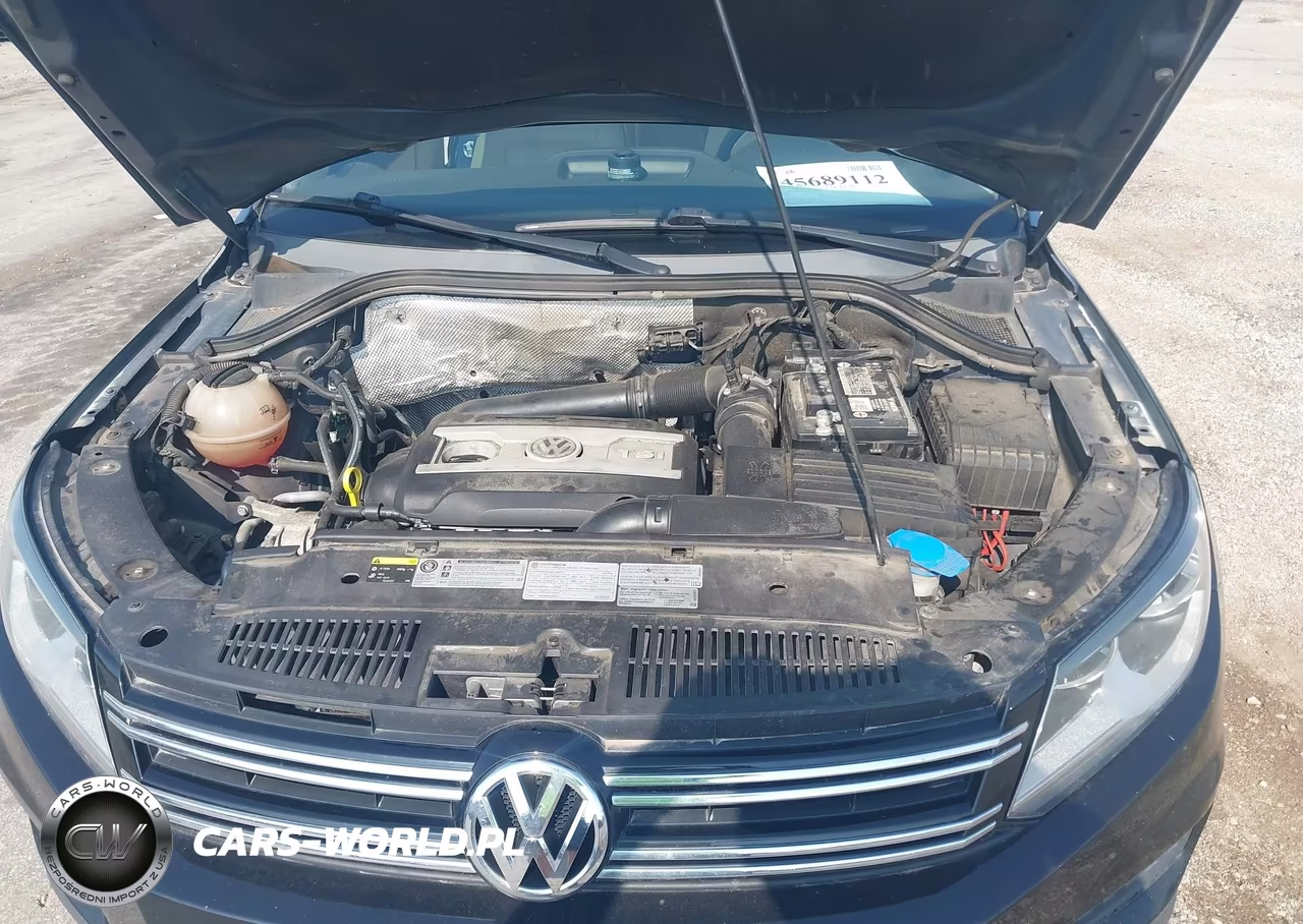 2017 Volkswagen Tiguan 2.0T-2.0T S VIN:WVGBV7AX3HW508210 - 10
