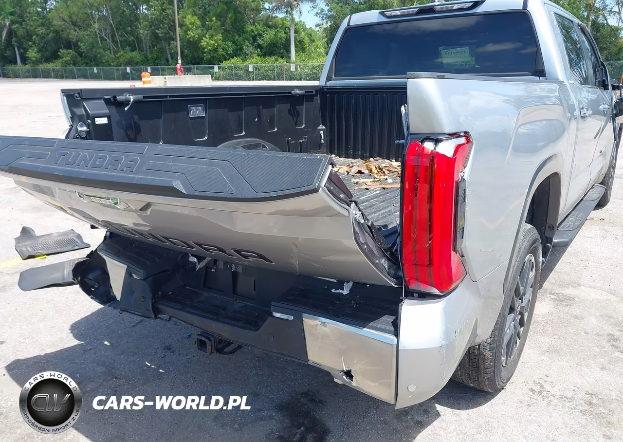 2025 Toyota Tundra Limited VIN:5TFJA5EC8SX039981 - 6