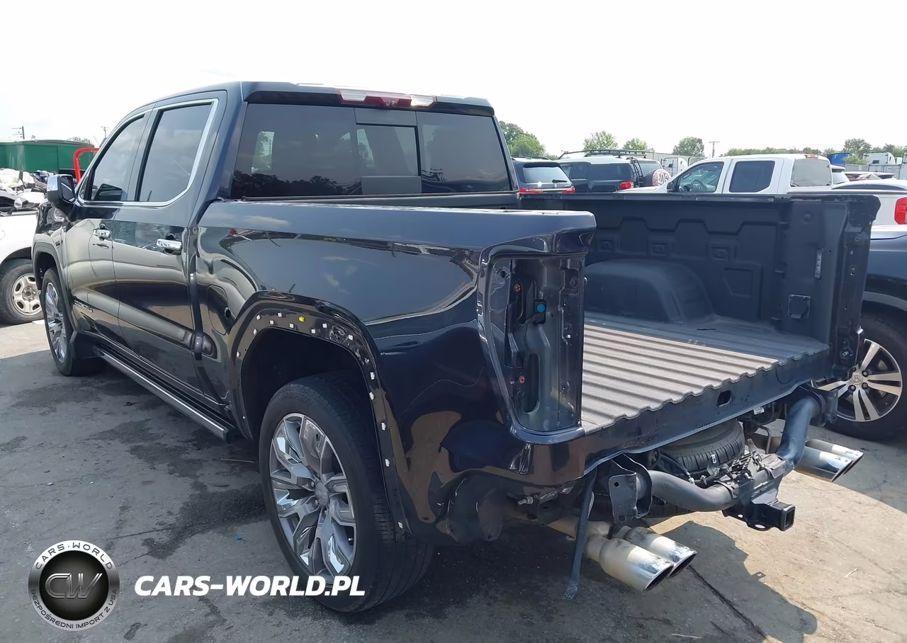2023 GMC Sierra 1500 4Wd Short Box Denali VIN:3GTUUGEL2PG289311 - 3