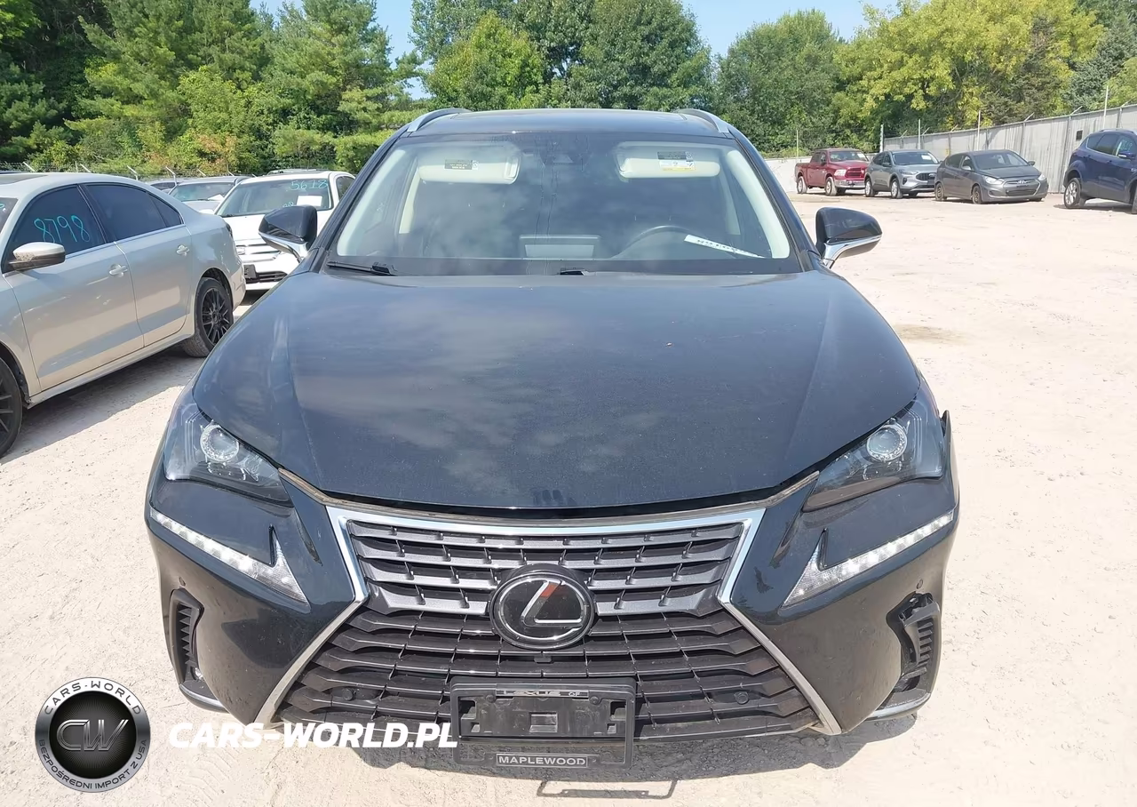 2020 Lexus Nx 300 VIN:JTJDARDZ2L5002817 - 12