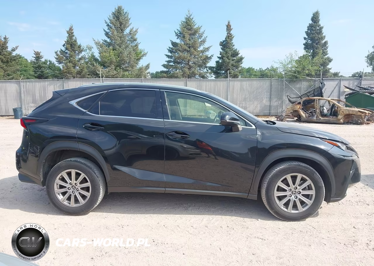 2020 Lexus Nx 300 VIN:JTJDARDZ2L5002817 - 13