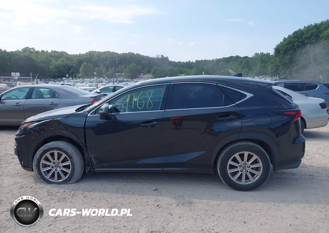 2020 Lexus Nx 300 VIN:JTJDARDZ2L5002817 - 14
