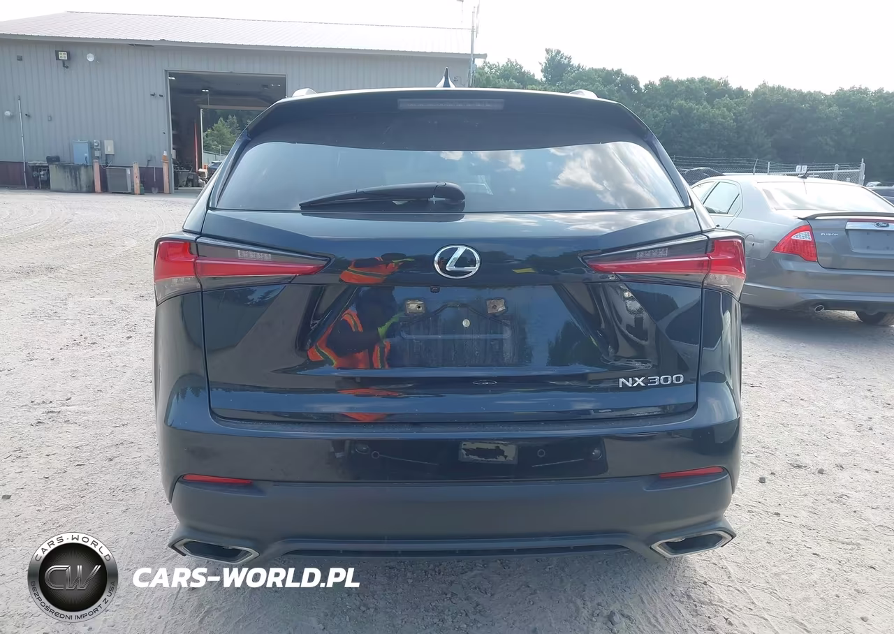 2020 Lexus Nx 300 VIN:JTJDARDZ2L5002817 - 16