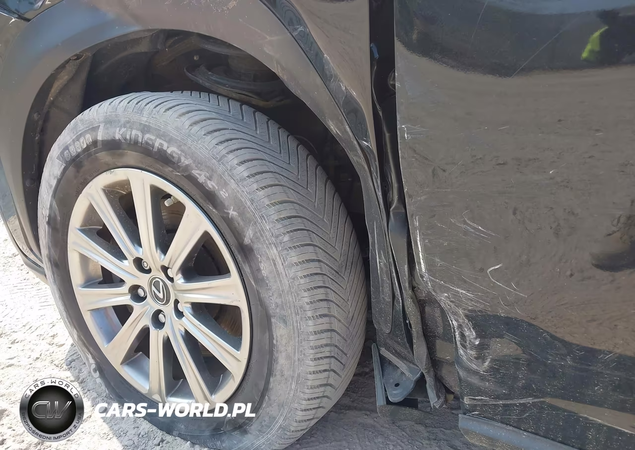 2020 Lexus Nx 300 VIN:JTJDARDZ2L5002817 - 17