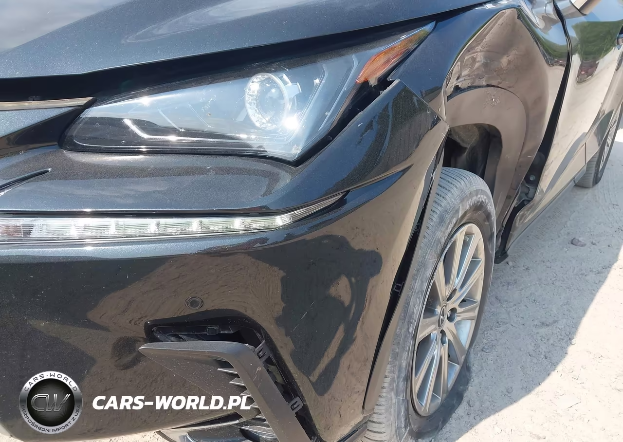 2020 Lexus Nx 300 VIN:JTJDARDZ2L5002817 - 18