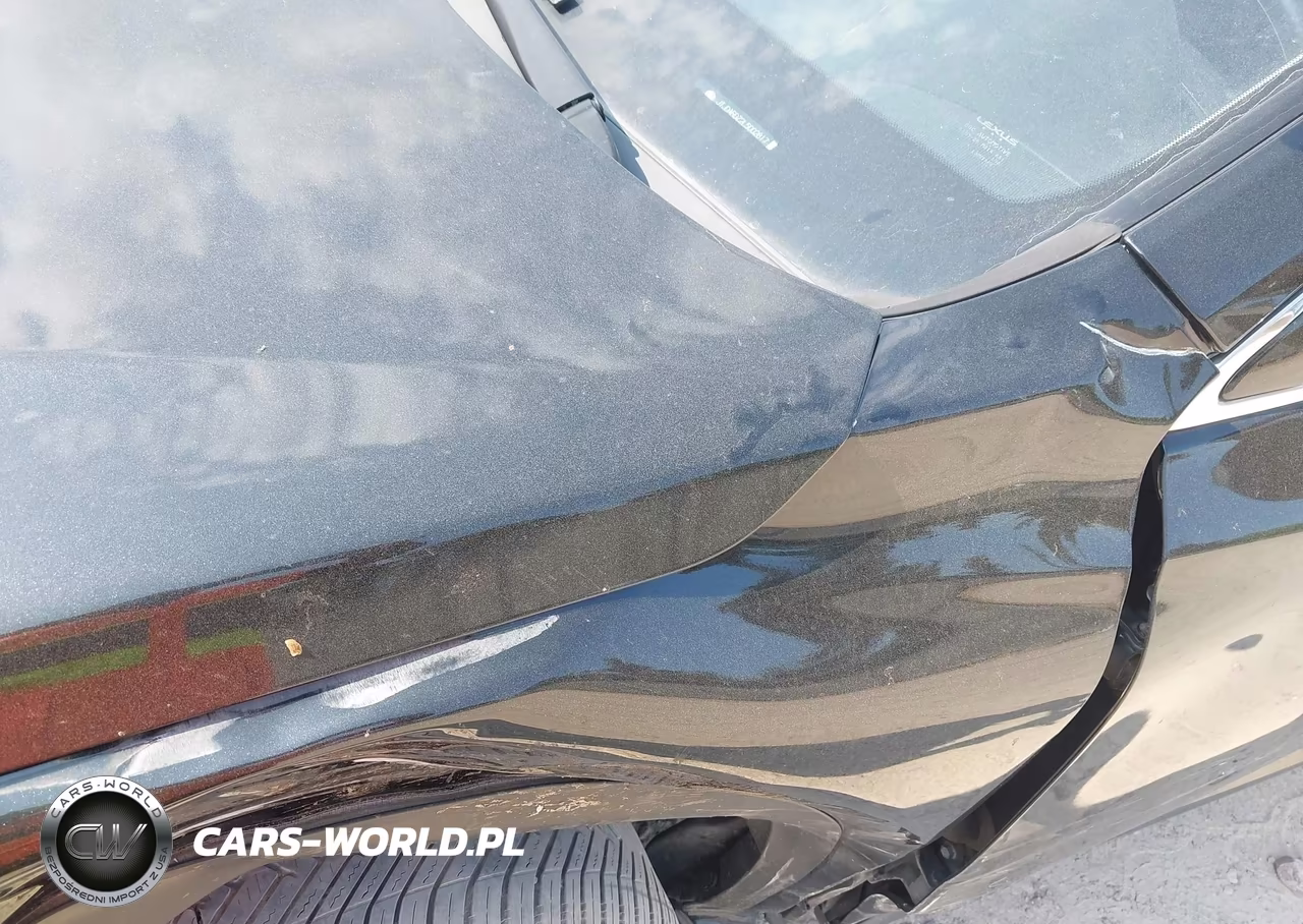 2020 Lexus Nx 300 VIN:JTJDARDZ2L5002817 - 19