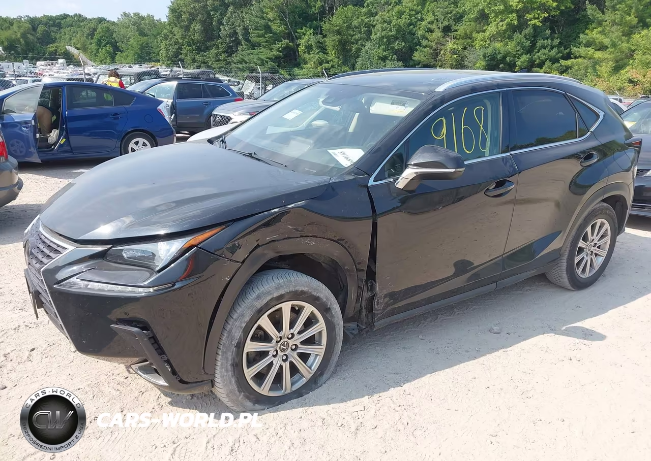 2020 Lexus Nx 300 VIN:JTJDARDZ2L5002817 - 2