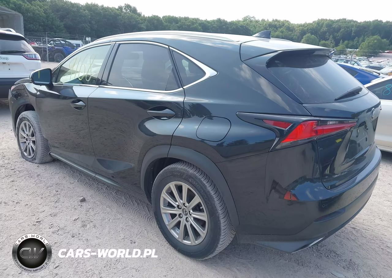 2020 Lexus Nx 300 VIN:JTJDARDZ2L5002817 - 3