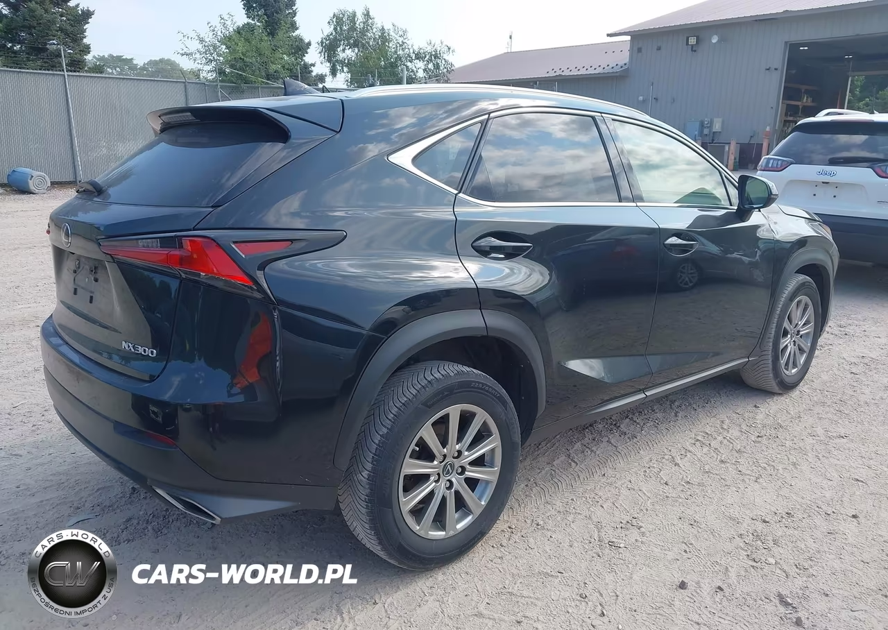 2020 Lexus Nx 300 VIN:JTJDARDZ2L5002817 - 4