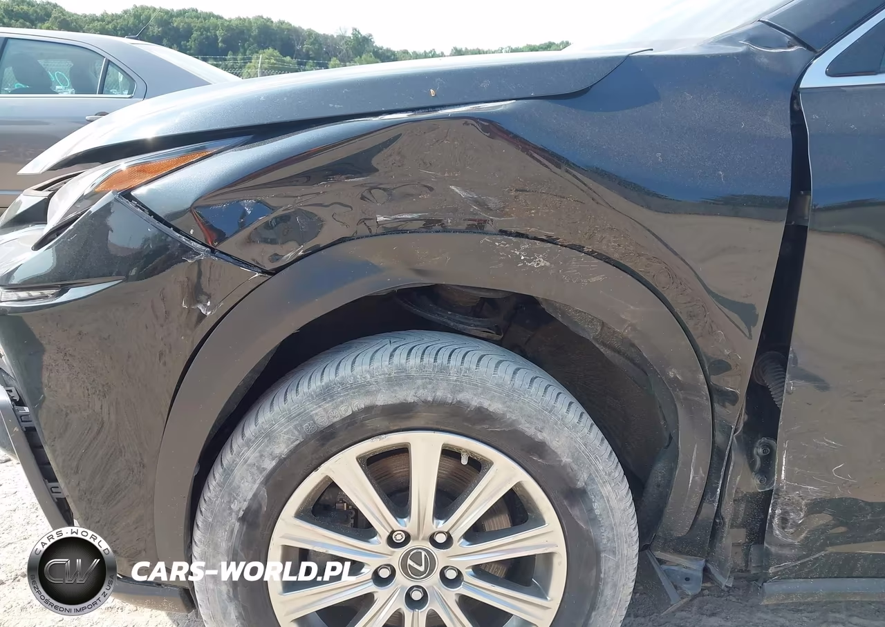 2020 Lexus Nx 300 VIN:JTJDARDZ2L5002817 - 6