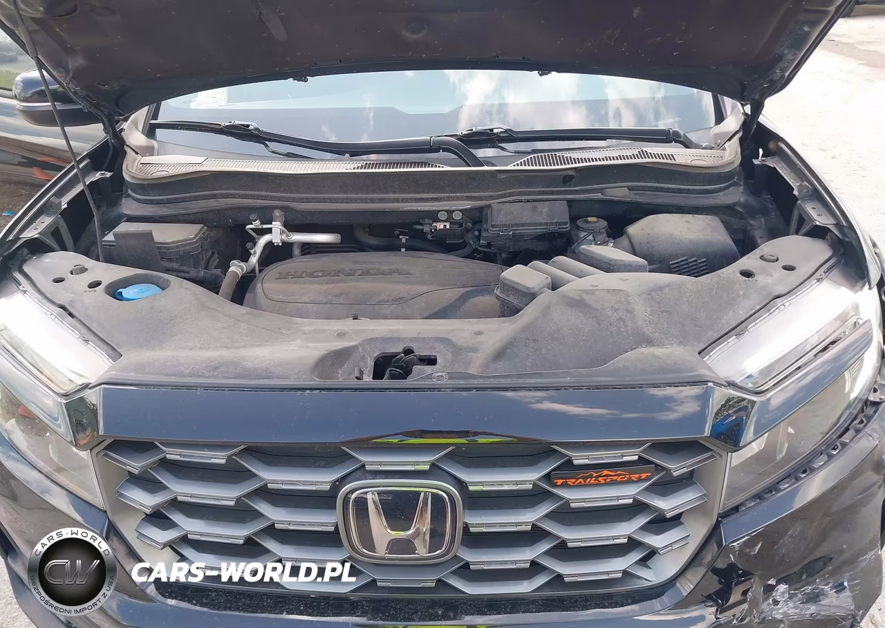 2023 Honda Passport Awd Trailsport VIN:5FNYF8H61PB007138 - 10
