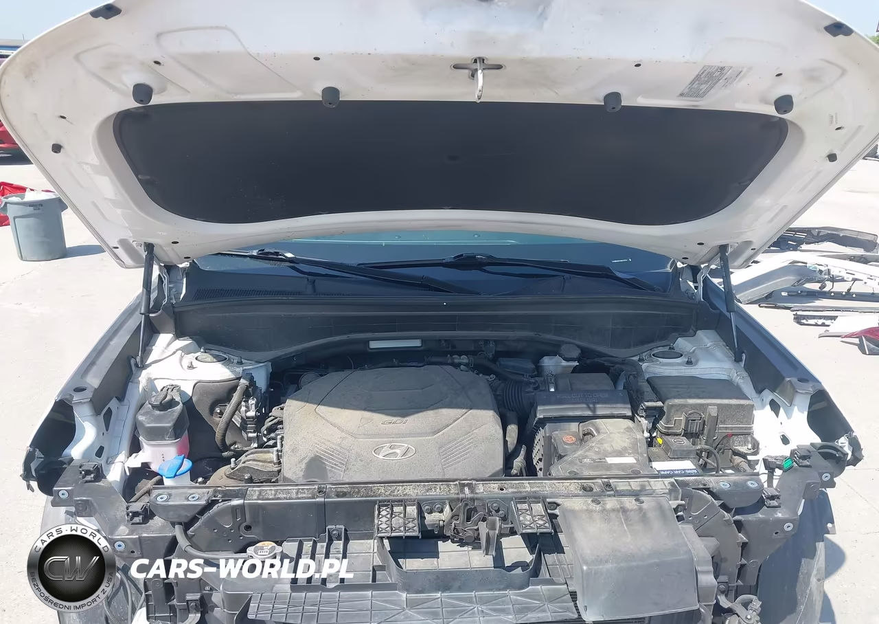 2021 Hyundai Palisade Sel VIN:KM8R4DHE4MU315414 - 10