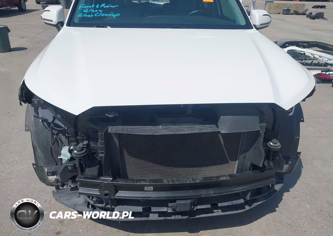 2021 Hyundai Palisade Sel VIN:KM8R4DHE4MU315414 - 18