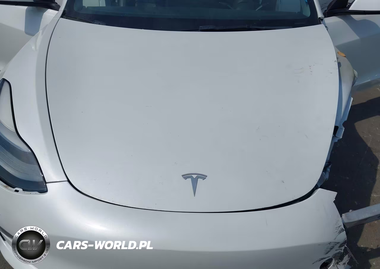 2021 Tesla Model 3 Standard Range Plus Rear-Wheel Drive VIN:5YJ3E1EA2MF096422 - 10