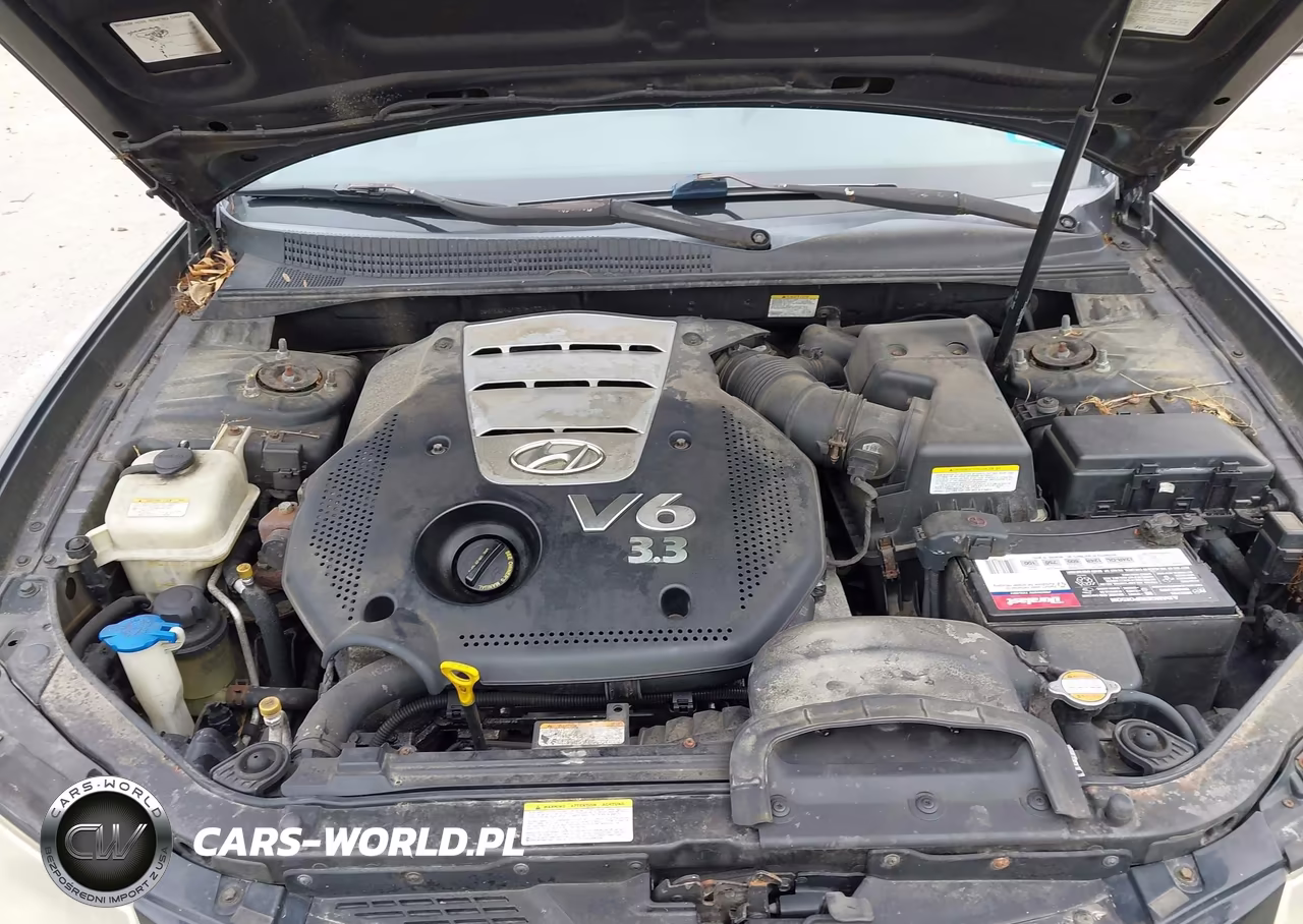 2007 Hyundai Sonata Limited-Limited W-Xm-Se-Se W-Xm VIN:5NPEU46F57H155170 - 9