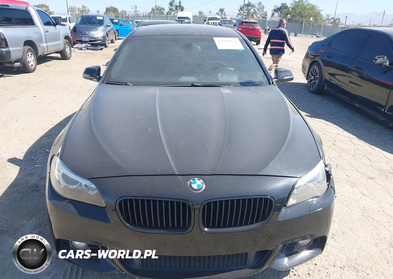 2014 BMW 535I VIN:WBA5B1C55ED478943 - 12