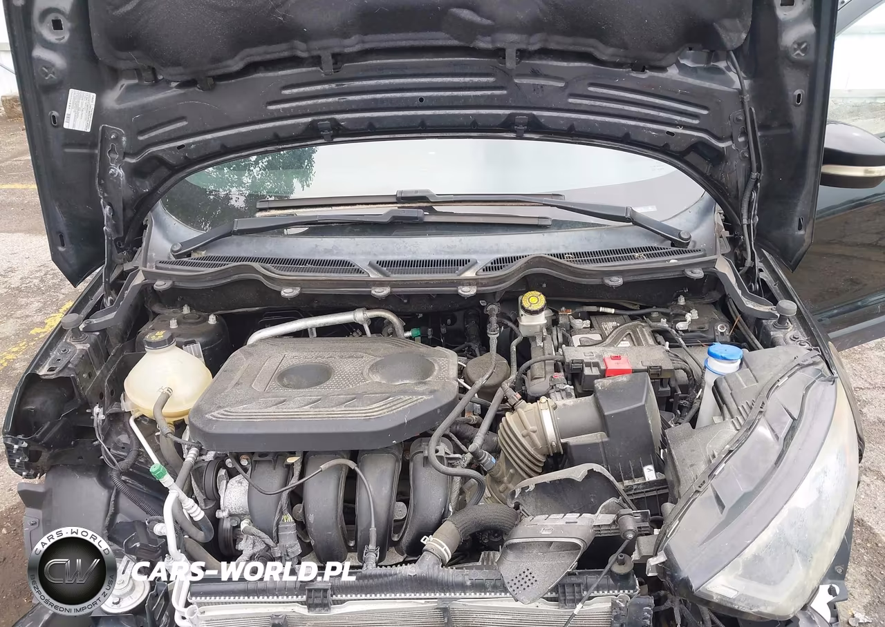 2019 Ford Ecosport Ses VIN:MAJ6S3JL1KC303570 - 10