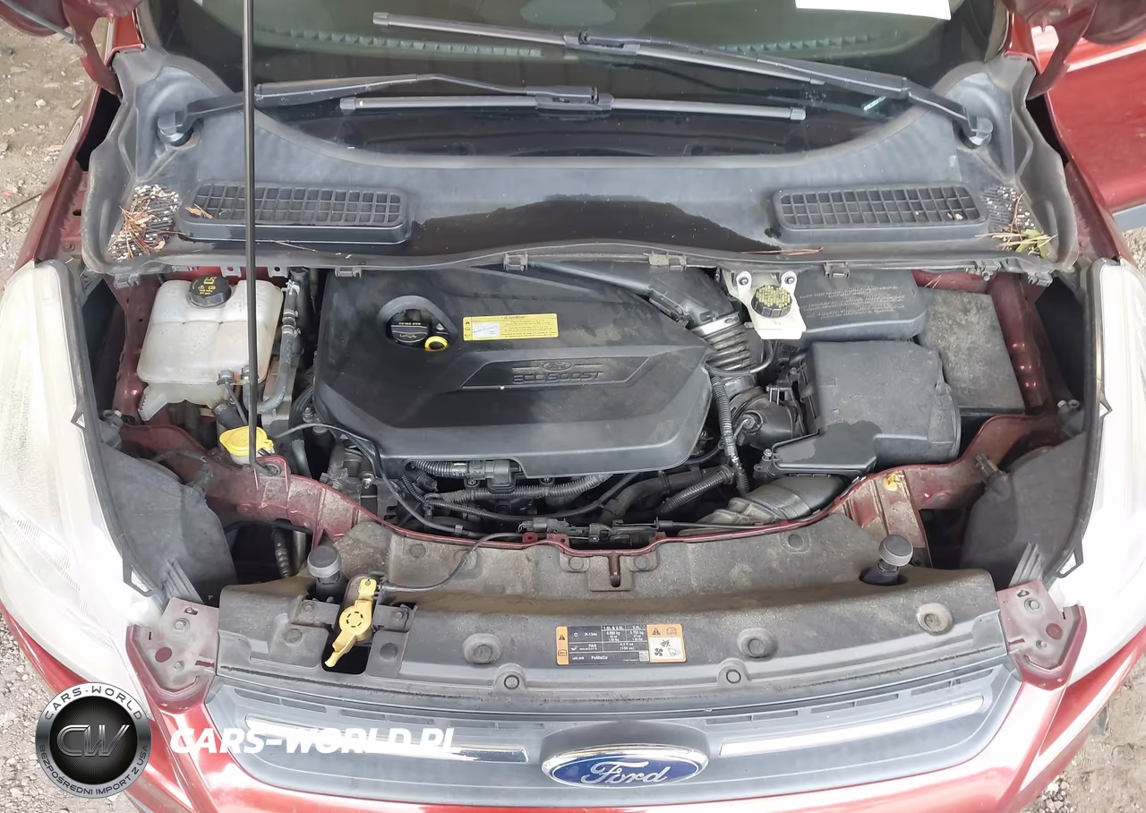 2014 Ford Escape Se VIN:1FMCU0GX1EUA50082 - 10