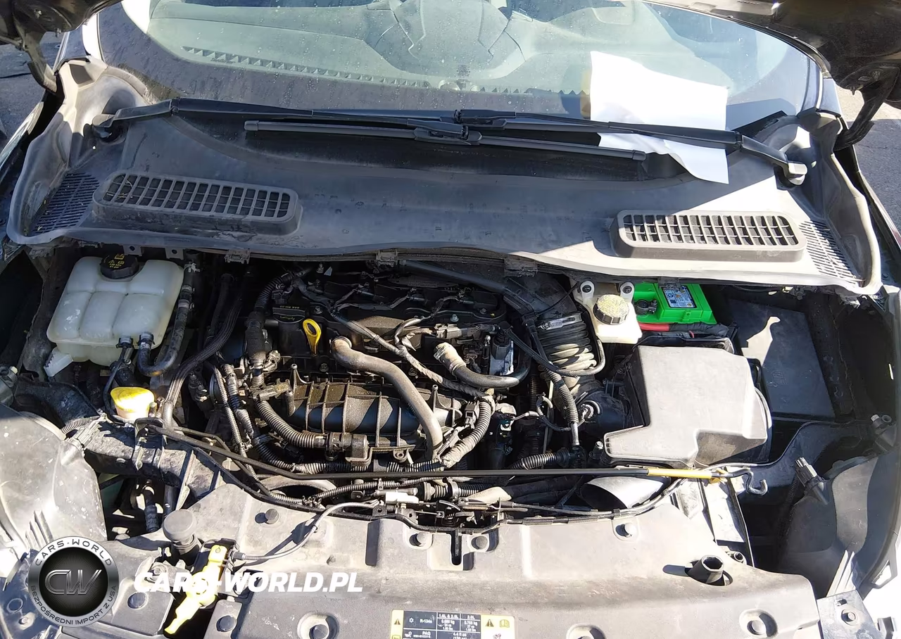 2014 Ford Escape Se VIN:1FMCU0GX5EUA94229 - 10
