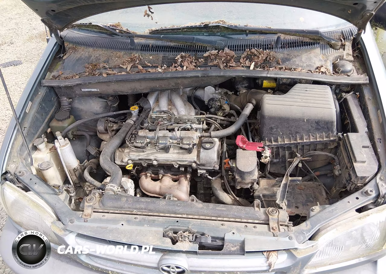 1999 Toyota Sienna Le VIN:4T3ZF13C2XU118235 - 10
